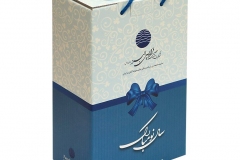 Faradis-1
