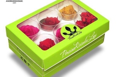 Persian-rose-1
