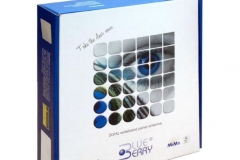 blue-berry