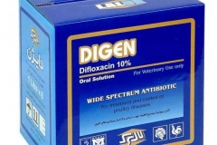 laluk-digen